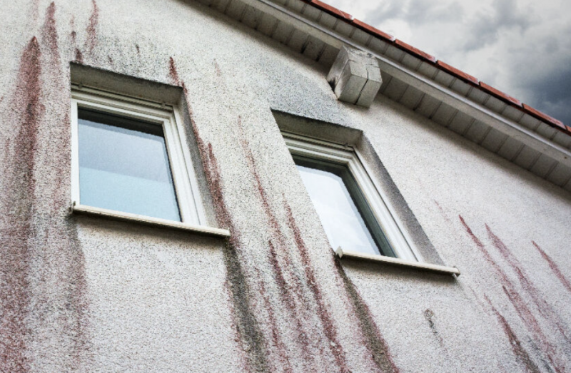 Nettoyage de façade avec traces d'algues rouges, par un traitement anti-mousse, proche Fécamp (76)